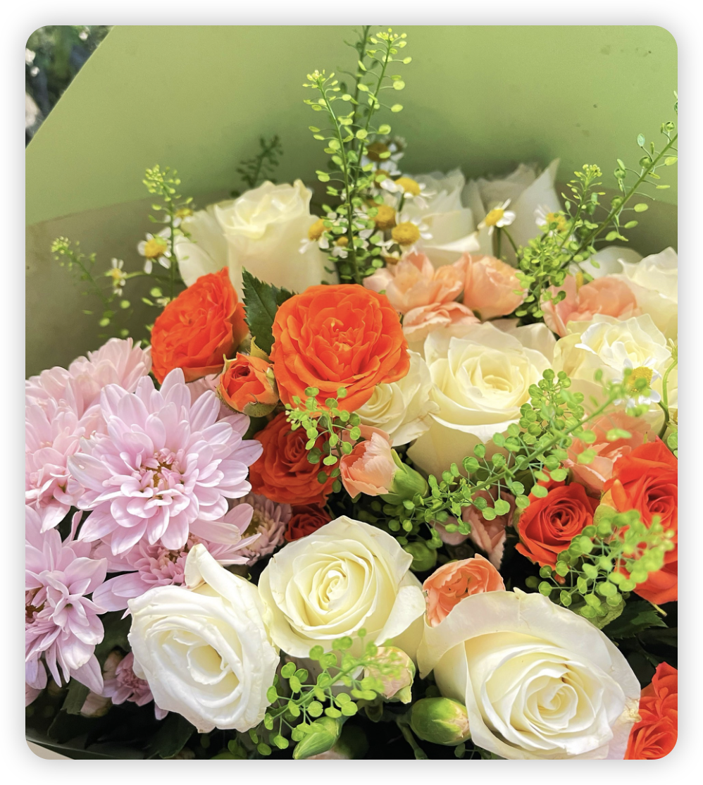 菊花